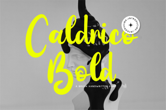 Caldrico Bold: A High-Impact Typeface for Modern Branding