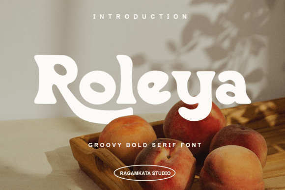 Roleya Regular: A Groovy Serif Font for Modern Web Design