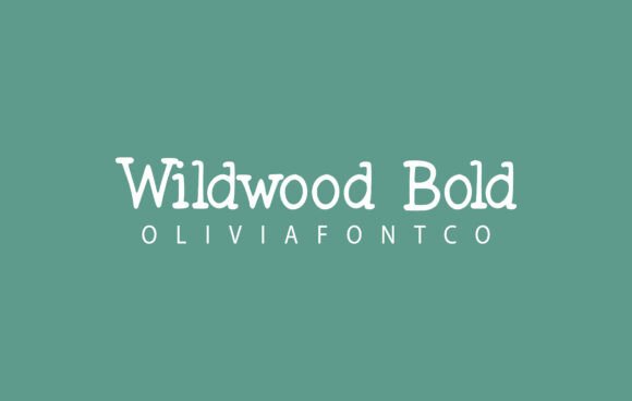 Wildwood Bold: The Serif Font That Stops the Scroll